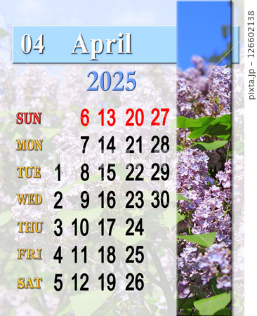 beautiful calendar for March 2025 with photo of blossoming lilac bush. 126602138