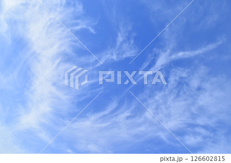 早朝の筋雲( fix撮影 ) 早朝の筋雲( fix撮影 ) 126602815