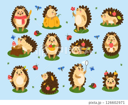 Hedgehog, woodland mascot. Cute animal, cartoon autumn wildlife or zoo character different actions. Forest happy childish design. Funny ladybug and butterfly vector creature tidy isolated illustration Hedgehog, woodland mascot. Cute animal, cartoon autumn wildlife or zoo character different actions. Forest happy childish design. Funny ladybug and butterfly vector creature tidy isolated illustration 126602971