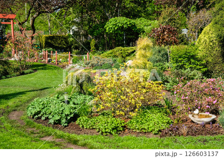 A vibrant, well-maintained ornamental Lush Flower Garden with Decorative Rock and Mulch. Ideal image for themes related to landscaping, gardening, backyard design, and nature aesthetics. 126603137