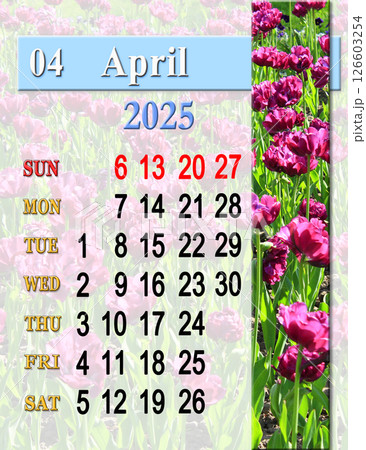 calendar for April with photo of blossoming bed of lilac tulips. Monday start calendar for April with photo of blossoming bed of lilac tulips. Monday start 126603254