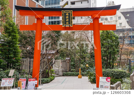福徳の森に鎮座する福徳神社 鳥居(将軍徳川秀忠公が芽吹稲荷と名付けた) 東京都中央区日本橋室町 福徳の森に鎮座する福徳神社 鳥居(将軍徳川秀忠公が芽吹稲荷と名付けた) 東京都中央区日本橋室町 126603308