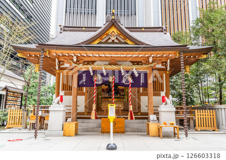 福徳の森に鎮座する福徳神社 拝殿(将軍徳川秀忠公が芽吹稲荷と名付けた) 東京都中央区日本橋室町 福徳の森に鎮座する福徳神社 拝殿(将軍徳川秀忠公が芽吹稲荷と名付けた) 東京都中央区日本橋室町 126603318