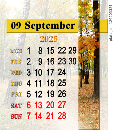 September calendar 2025 with photo of autumn park. Office planner September calendar 2025 with photo of autumn park. Office planner 126603321