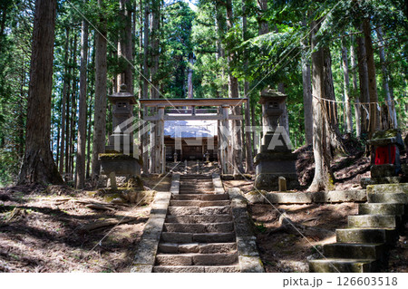緑に包まれる大内鎮守 高倉神社 福島県下郷町 緑に包まれる大内鎮守 高倉神社 福島県下郷町 126603518