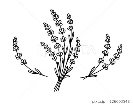 Lavender floral bouquet hand drawn flowers 126603548