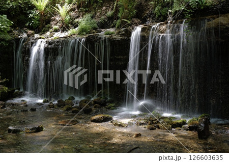 白糸の滝(軽井沢) 白糸の滝(軽井沢) 126603635