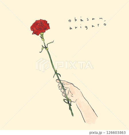母の日に一輪のカーネーションを手渡す 126603863