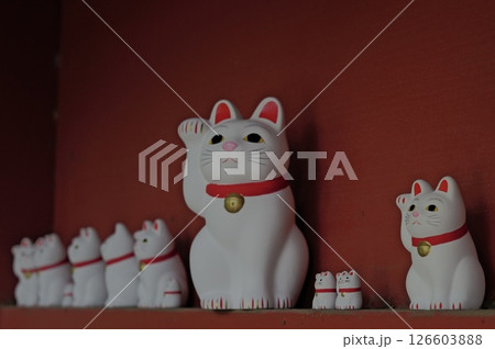 招き猫 126603888