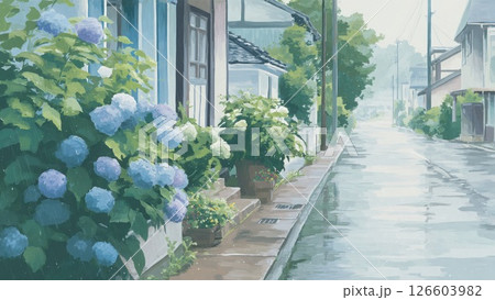雨に濡れる紫陽花と静かな住宅街の風景 梅雨のイラスト素材_1 126603982