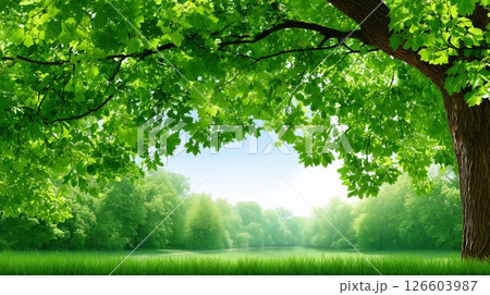 Sunny summer landscape viewed from under lush green tree leaves 126603987