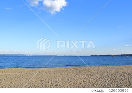 神奈川県・三浦市・三浦海岸 126603992