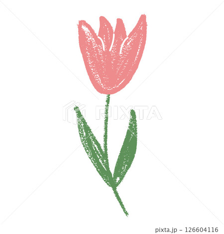 Tulip flower crayon drawn. Spring crocus plant doodle isolated on white background. Summer floral kids element. Chalk or pastel style childish scrawl nature shape. Vector naive illustration by pencil 126604116