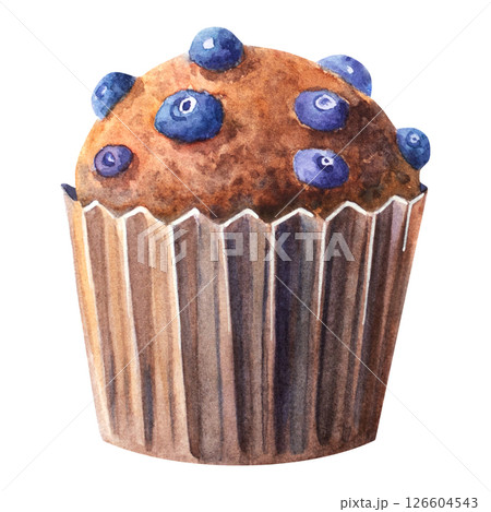 Watercolor Blueberry Muffin illustration art 126604543