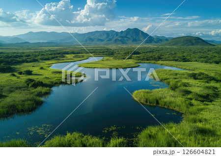 Scenic view of lush wetlands with mountains in the background 126604821