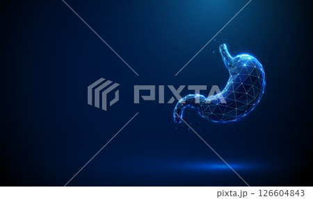 Abstract blue human stomach structure. Stomach anatomy, cardia, fundus, body, antrum, pylorus. Healthcare medical anatomical concept. 126604843