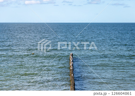 Seaside view featuring a wooden groyne extending into the ocean Seaside view featuring a wooden groyne extending into the ocean 126604861