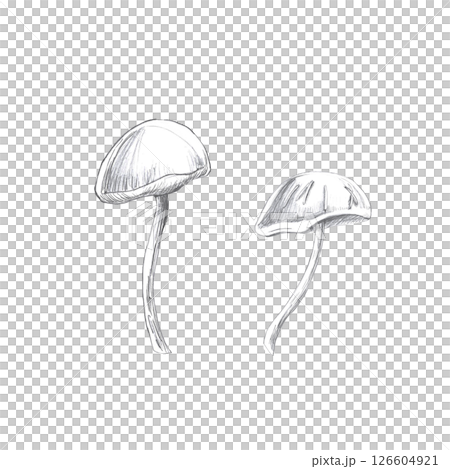 Set of two mushrooms. Isolated pencil illustration on the theme of a magical forest for the design of coloring books, cards, Halloween theme parties, printing on fabrics. 126604921