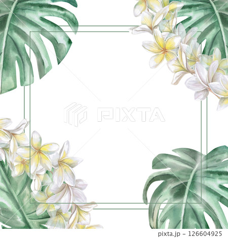 Square frame with corner elements, plumeria flowers and monstera leaves. Isolated watercolor illustration for restaurant menu design, interior, wedding cards, poster printing. 126604925