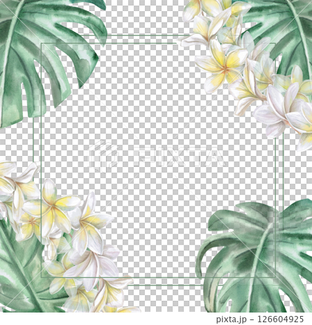 Square frame with corner elements, plumeria flowers and monstera leaves. Isolated watercolor illustration for restaurant menu design, interior, wedding cards, poster printing. 126604925