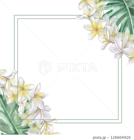 Square frame with plumeria flowers and monstera leaves. Isolated watercolor illustration for restaurant menu design, interior, wedding cards, poster printing. 126604926