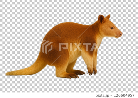 Side view of a guinea pig kangaroo 126604957