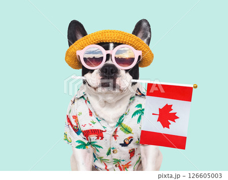 Cute puppy, sun hat, sunglasses and Canadian Flag. Studio shot 126605003