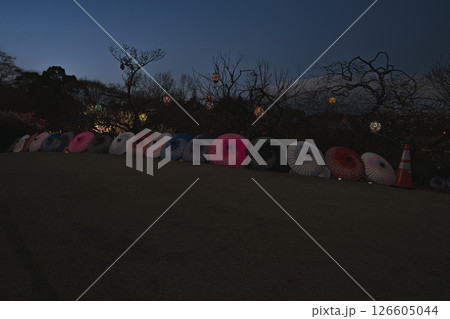 富士市にある岩本山公園のライトアップされた和傘の風景(静岡県) 126605044