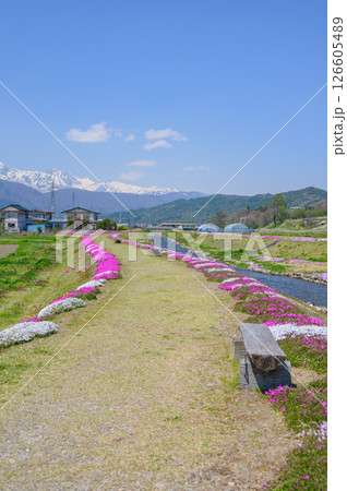 春の農具川河川公園【大町市】 126605489