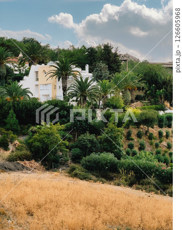 White modern villa with palm trees and lush vegetation in foreground, overlooking dry field and bridge in background, under cloudy sky. Modern white villa nestled among palm trees, verdant landscaping White modern villa with palm trees and lush vegetation in foreground, overlooking dry field and bridge in background, under cloudy sky. Modern white villa nestled among palm trees, verdant landscaping 126605968