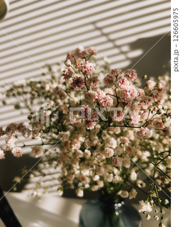 Gypsophila flowers in blue vase resting on table near window with blinds, casting captivating interplay of light and shadow, enhancing serene interior decor. Gypsophila spills from blue ceramic vase Gypsophila flowers in blue vase resting on table near window with blinds, casting captivating interplay of light and shadow, enhancing serene interior decor. Gypsophila spills from blue ceramic vase 126605975