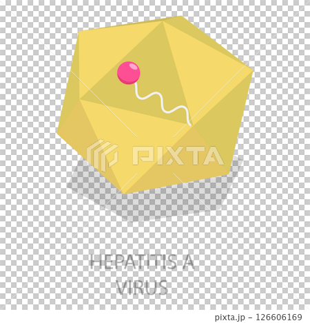 3D Isometric Flat  Illustration of Hepatitis Viruses. Item 5 126606169