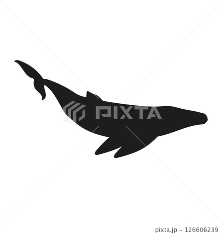 Vector flat humpback whale silhouette 126606239