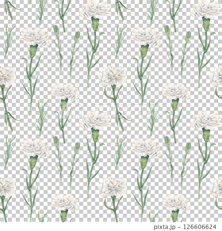 White carnation on green stems and with buds watercolor seamless pattern isolated background. Hand painted garden flowers for bridal stationery, luxury packaging, home textile, wedding decor 126606624