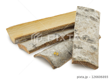 piece of aspen bark isolated on white background. 126606893