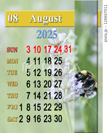 calendar for August with photo of bumblebee collecting nectar on lavender flower calendar for August with photo of bumblebee collecting nectar on lavender flower 126607011