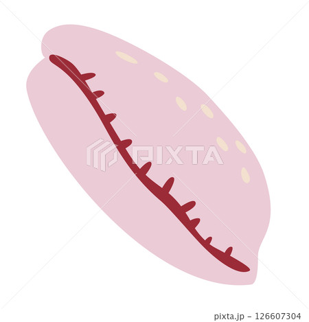 Cute underwater shell, marine animals, shellfish. Flat vector illustration in isolated on white background. 126607304
