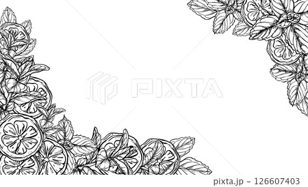 Monochrome citrus slices and mint leaves horizontal vector frame with copy space for text. Lemon fruit with herbs illustration. Floral border for beverage labels, spa menus, healthy food packaging. 126607403