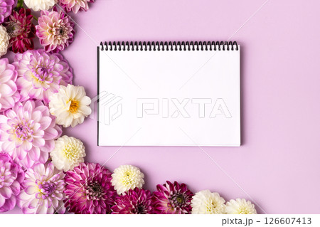 Notebook with clean page with purple, pink and white flowers dahlias on pink background. Colorful autumn flower background with space for text. Nature trendy decorative design. Flat lay. 126607413
