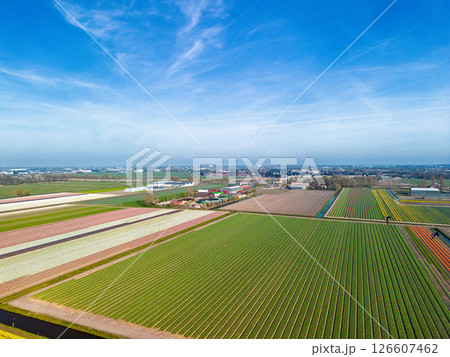 Aerial panoramic view of the Dutch countryside featuring farmland, green fields, forests, and a highway stretching through the landscape toward a distant town. 126607462