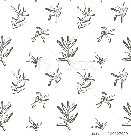 Seamless rosemary pattern in dark earthy green on white background with hand drawn bold lines for natural packaging and fabric Seamless rosemary pattern in dark earthy green on white background with hand drawn bold lines for natural packaging and fabric 126607999