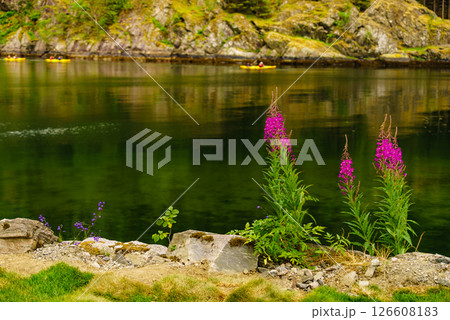 Fjord shore and people kayaking Fjord shore and people kayaking 126608183