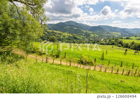 rural landscape in summer. green farm fields on the hills 126608494