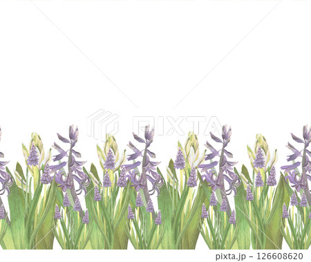 Seamless border of spring flowers watercolor illustration isolated on white. White and violet hyacinths hand drawn pastel tones for Easter cards, packaging and festive decor Seamless border of spring flowers watercolor illustration isolated on white. White and violet hyacinths hand drawn pastel tones for Easter cards, packaging and festive decor 126608620