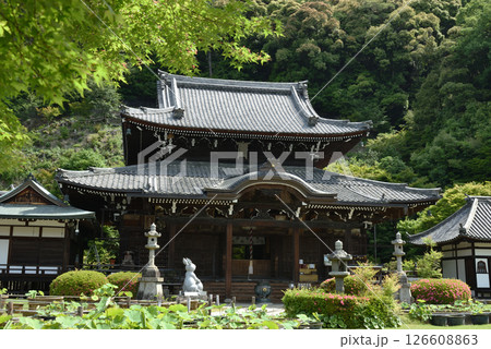 三室戸寺　本堂(京都府宇治市) 126608863