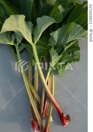 Fresh young rhubarb leaves on gray background. Vegetarian food. Healthy plant. Top view. 126609129
