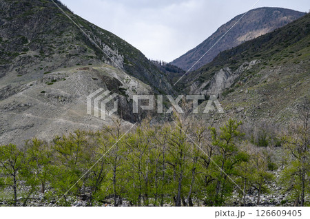 mysterious gorge and stone mushrooms on the left slope. 126609405