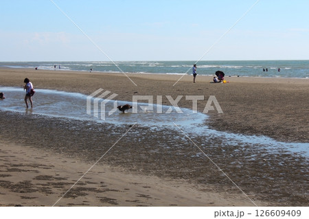 海 海事 海軍 126609409