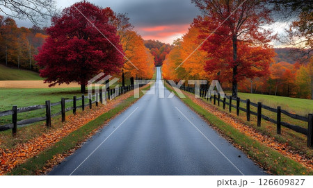 Autumnal Road Through Vibrant Trees at Sunset Autumnal Road Through Vibrant Trees at Sunset 126609827