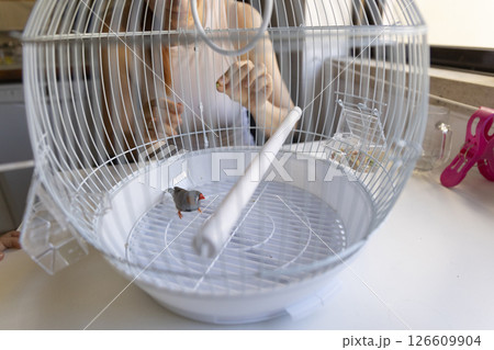 Woman feeding a zebra finch in a white cage 126609904